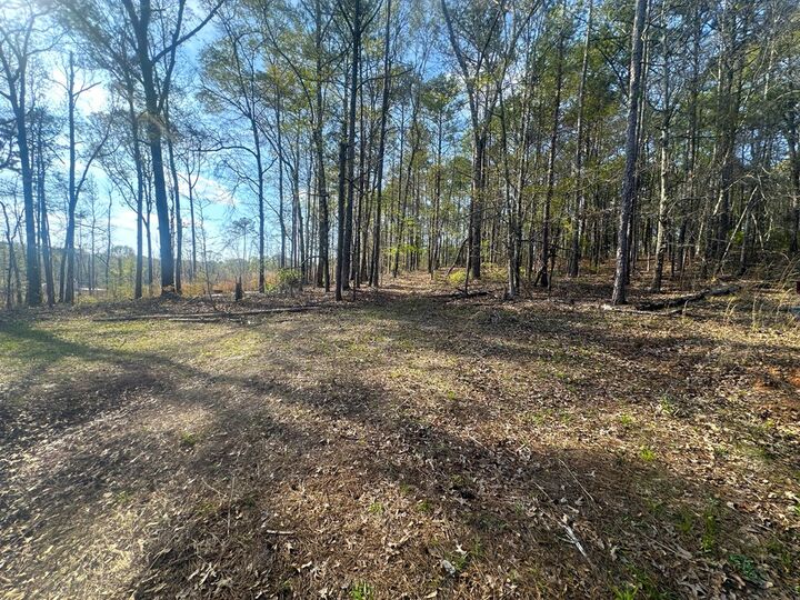 Property Photo: Lot 19 Highway 0085 GA 31831