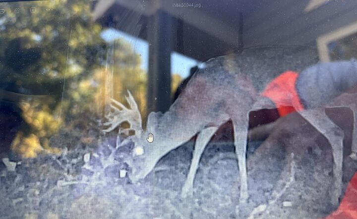 Property Photo:  Lot 19 Highway 0085  GA 31831 