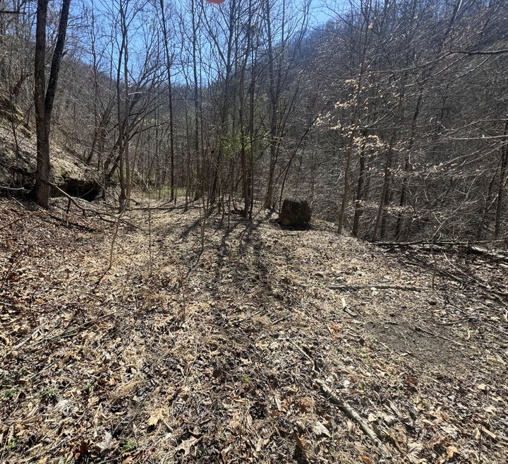 Property Photo:  97 Curt Conway Road  KY 41559 