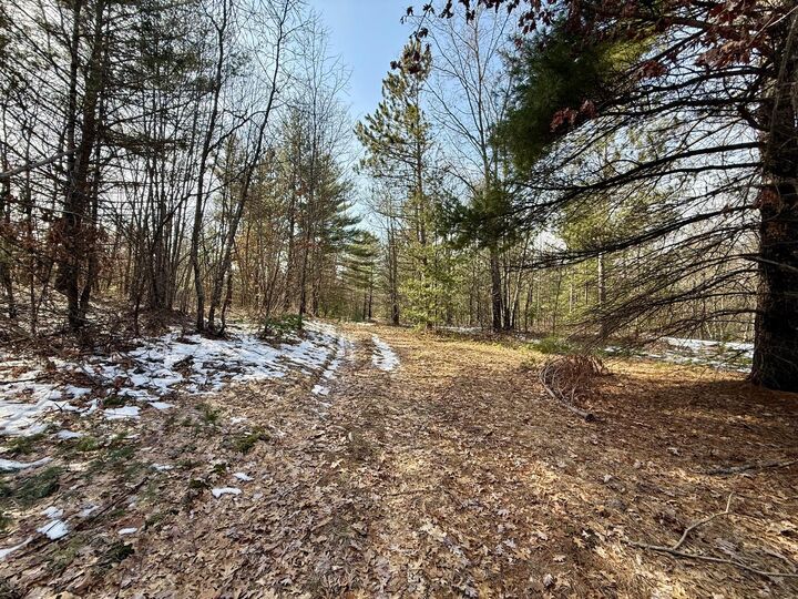 Property Photo: Vl N Merrillville Road MI 49304