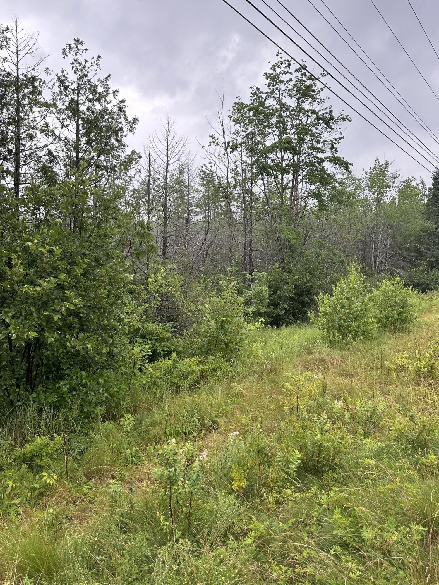 Property Photo:  Lot 60 Tenan Lane  ME 04622 