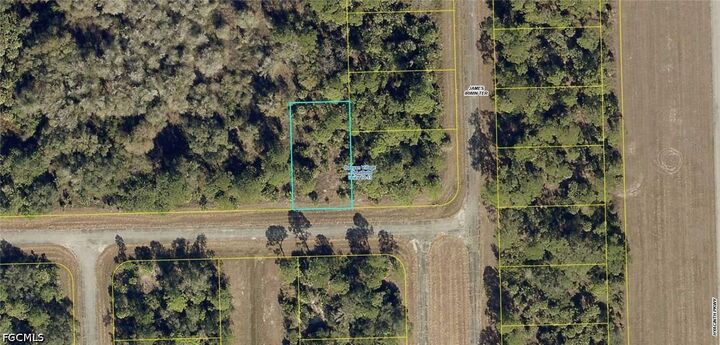 Property Photo:  238 Neil Armstrong Avenue  FL 33935 