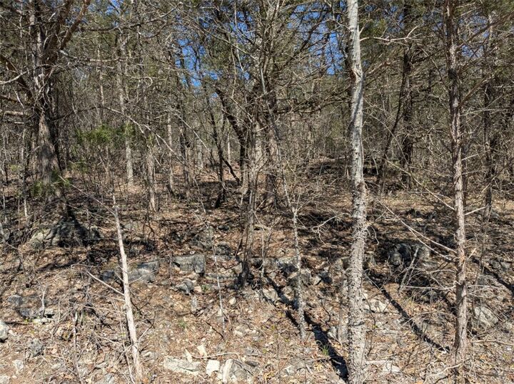 Property Photo:  Tbd Cottonwood Lane  AR 72631 