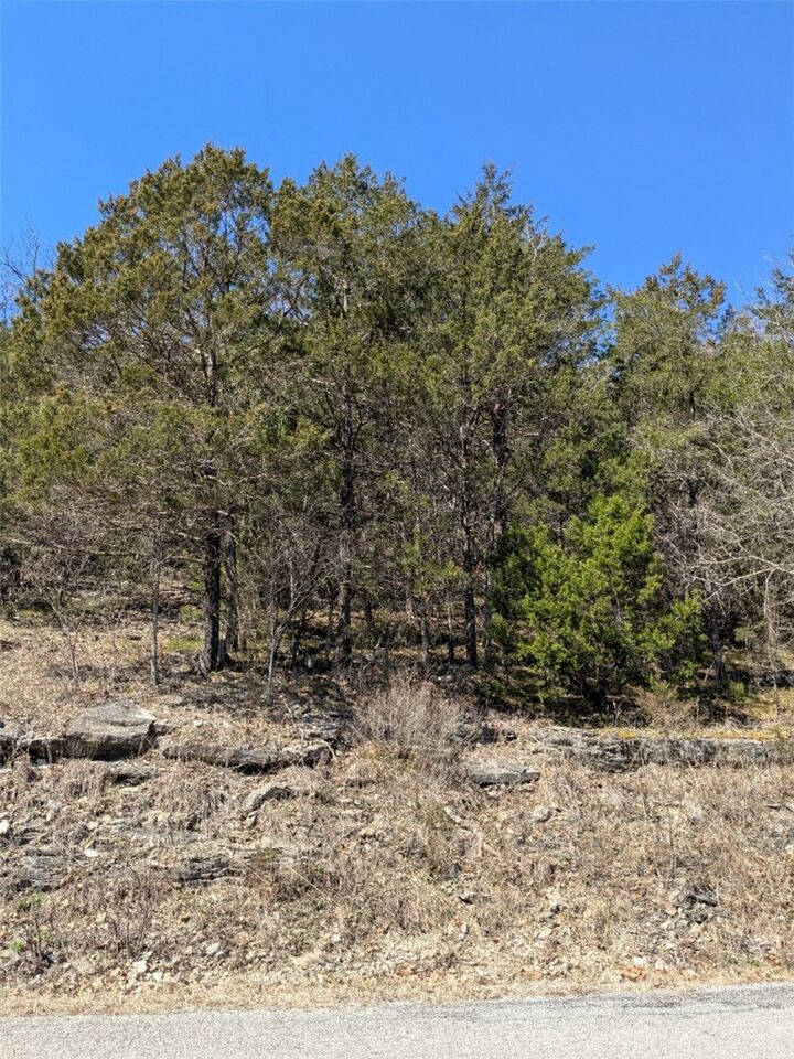 Property Photo:  Tbd Table Rock Drive  AR 72631 