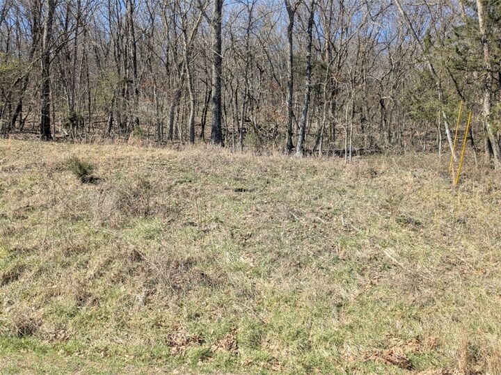 Property Photo:  Tbd Park Lane  AR 72631 