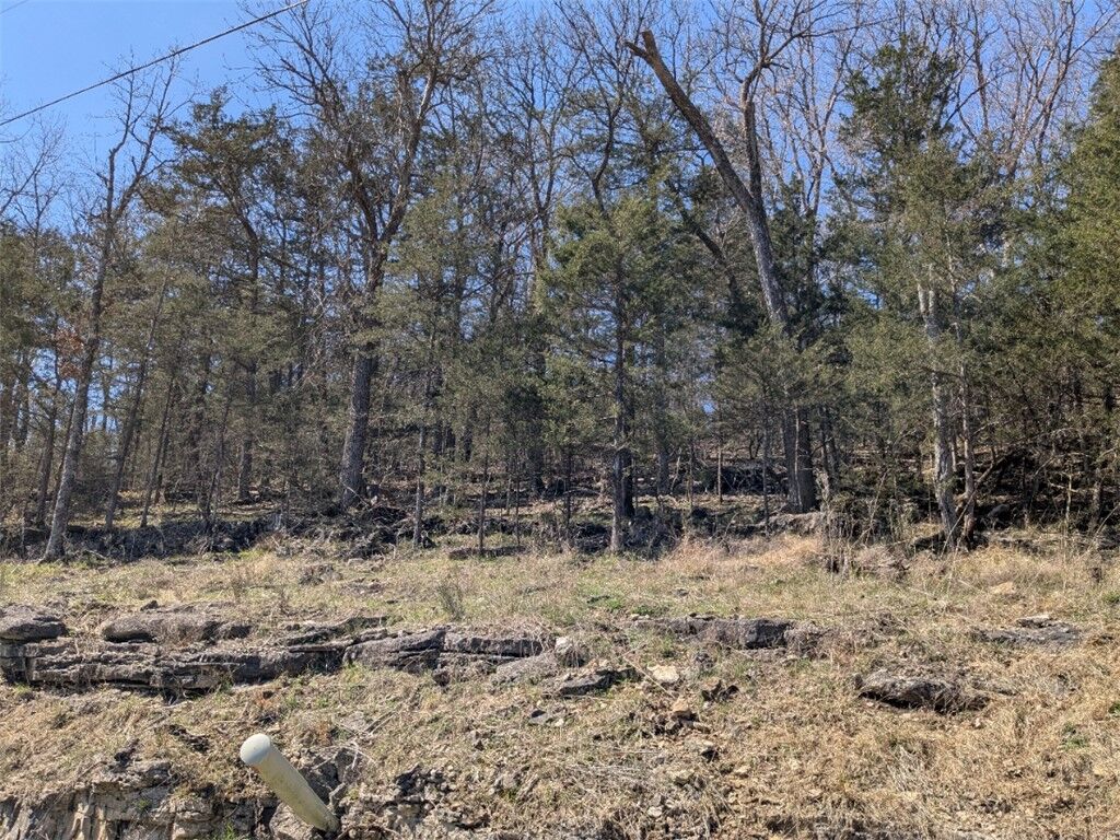 Property Photo: Tbd Oakpoint Lane AR 72631