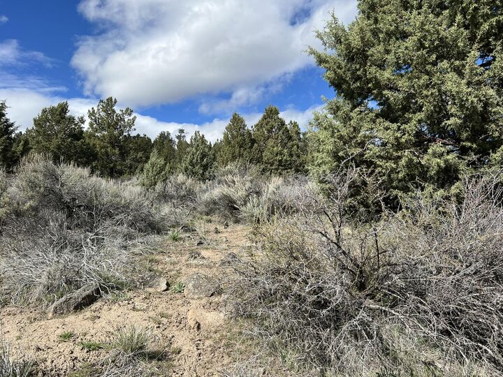 Property Photo:  Shasta St Street Lot 4  OR 97639 