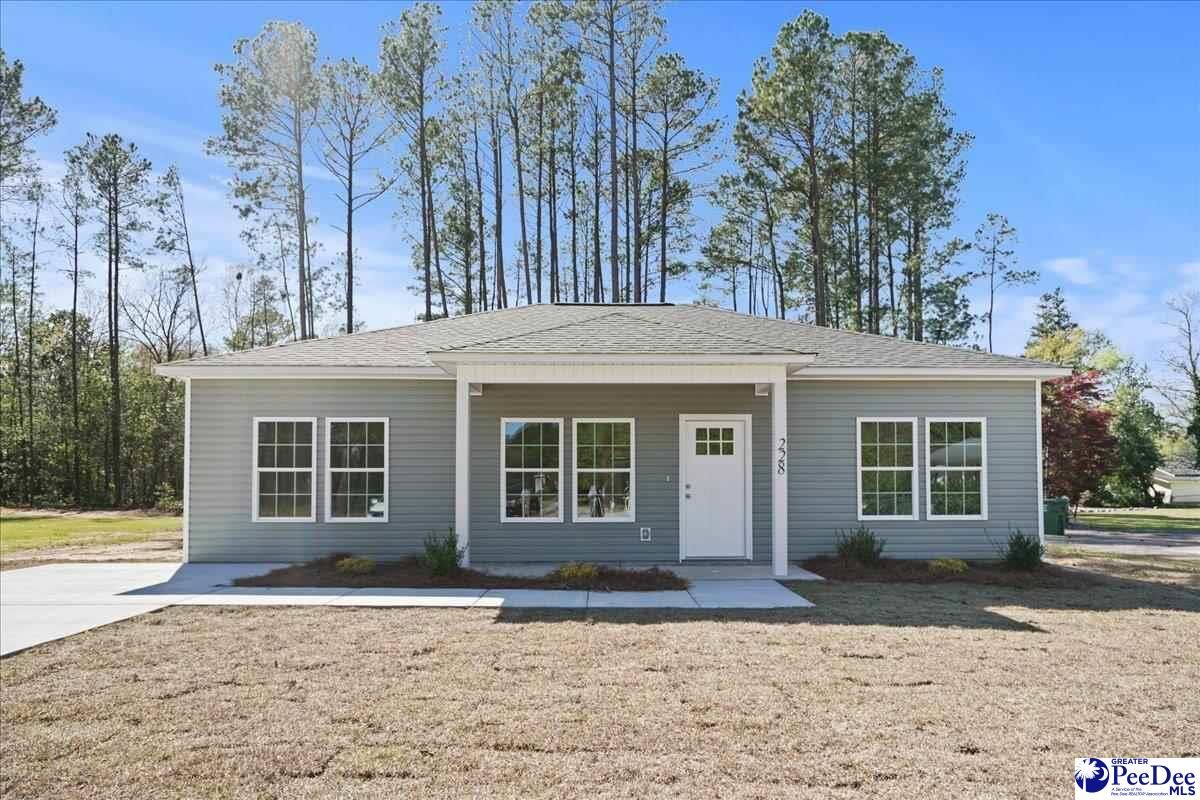 Property Photo:  228 Promise Lane  SC 29550 