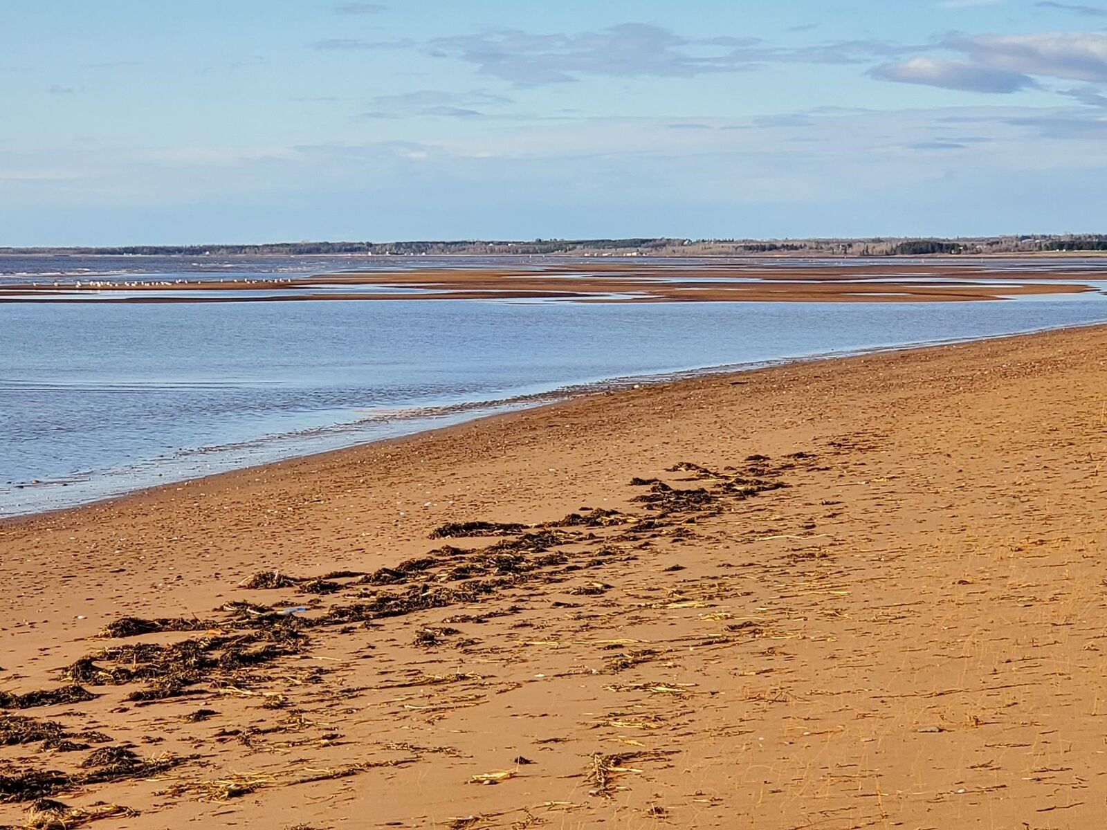 Property Photo:  Maximeville  PE C0B 2E0 