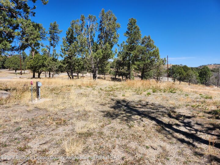 Property Photo:  101 & 103 High Chaparral Place  NM 88345 