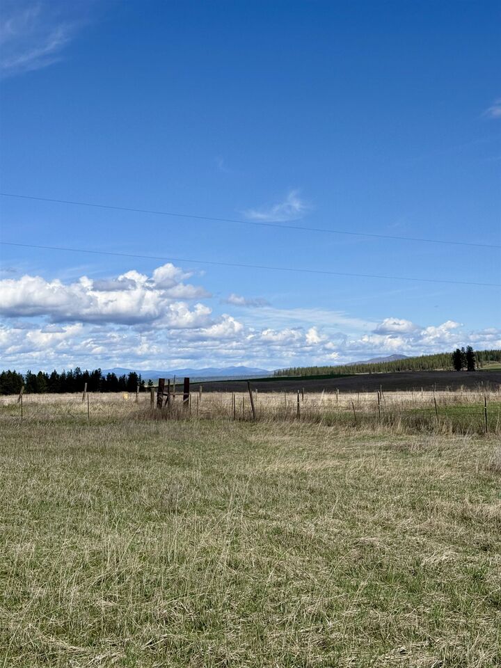 Property Photo:  49546 Fisher E Rd  WA 99122 