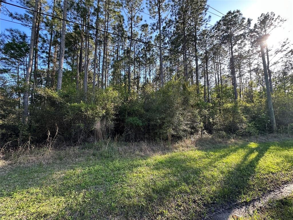 Property Photo: Lot 28-30 Radio Avenue FL 32097