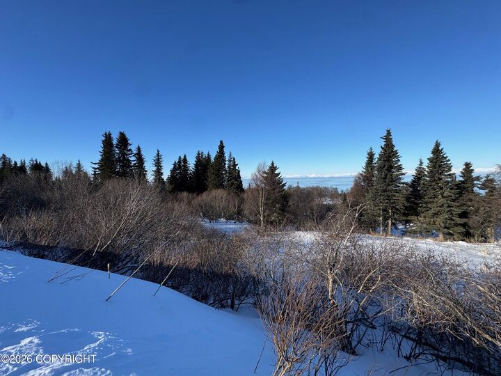 Property Photo:  L7 Mead Court  AK 99568 