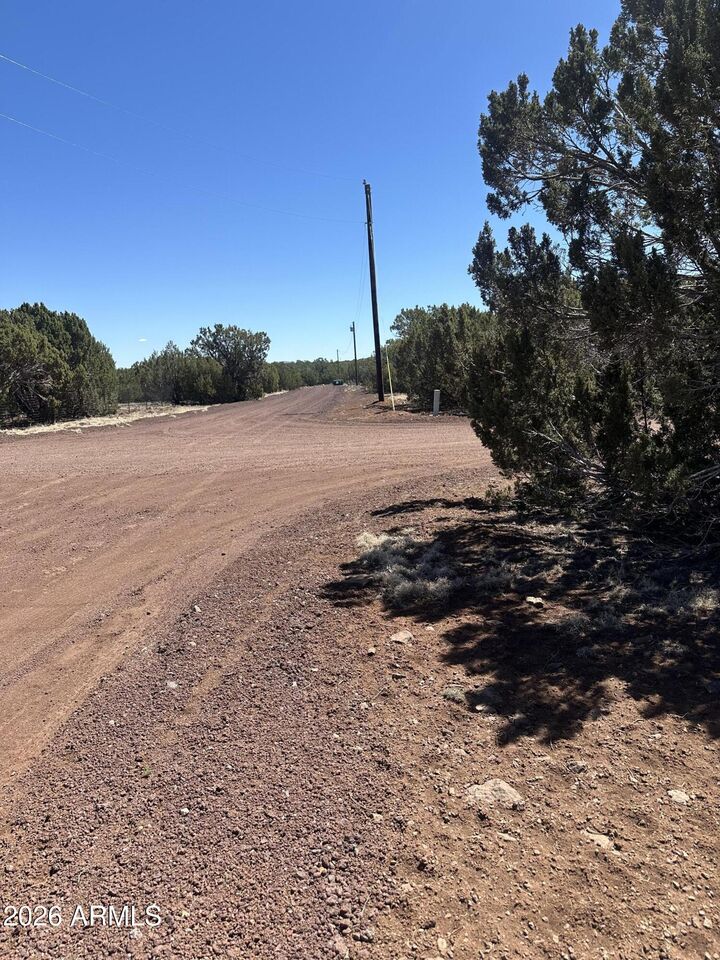 Property Photo:  21 Acr 3193 Road 350  AZ 85940 