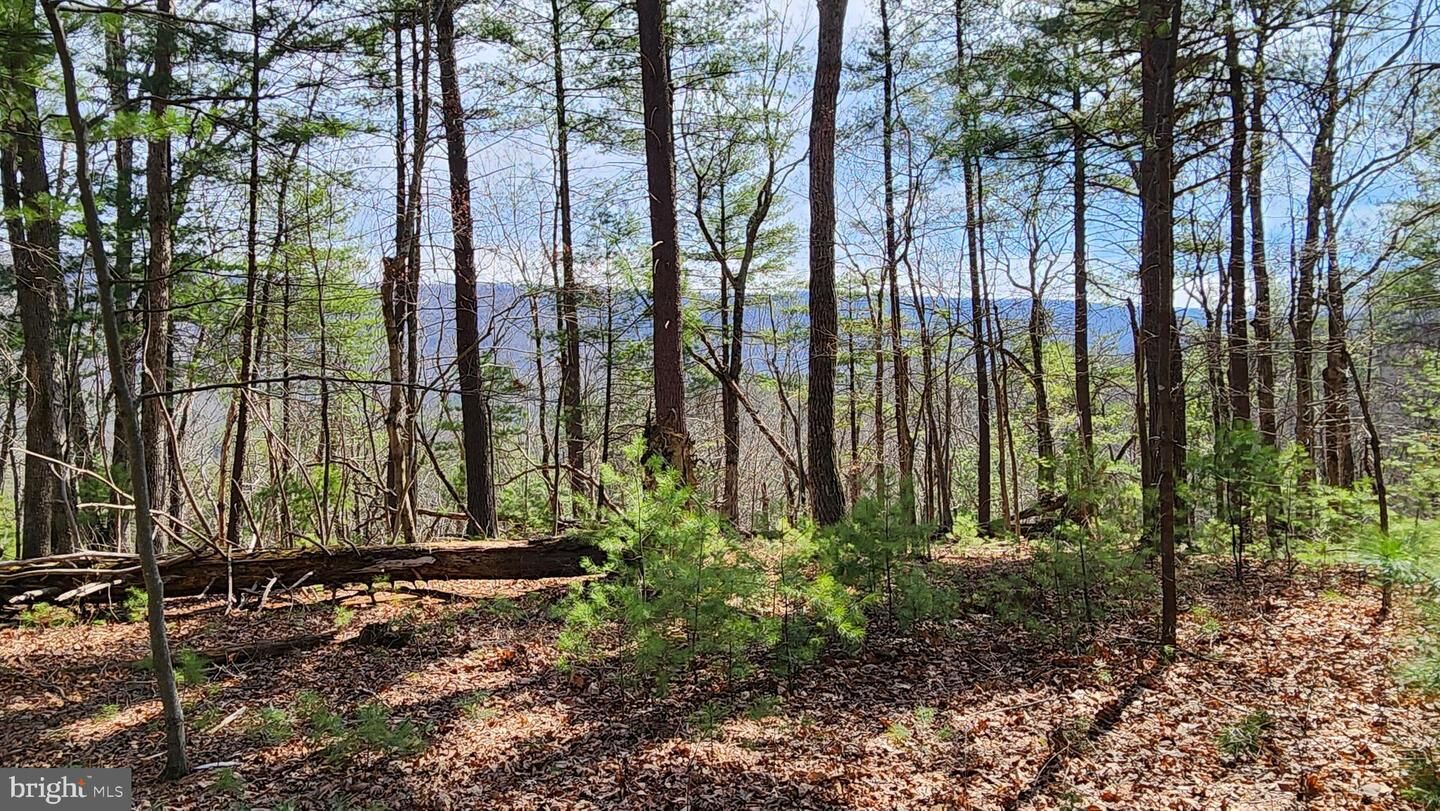 Property Photo: 1605 Paddys Run Road VA 22654