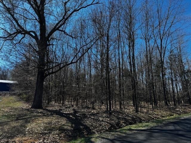 Property Photo: 5 And 6 Lbl Gateway KY 42211