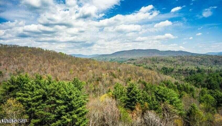 Property Photo: Lot 39 Green Ridge Tr TN 37748