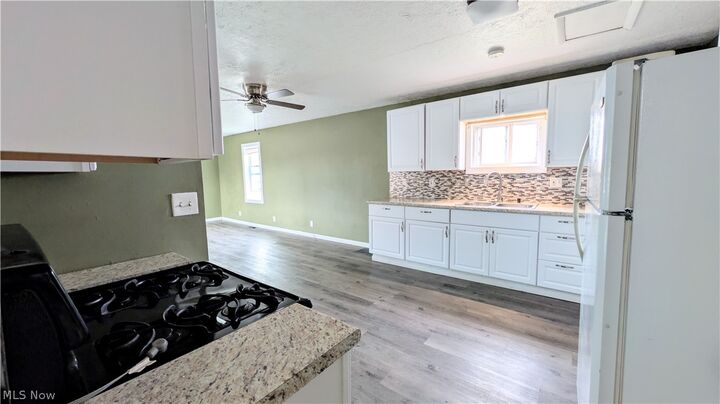 Property Photo: 297 Depot Street OH 44030