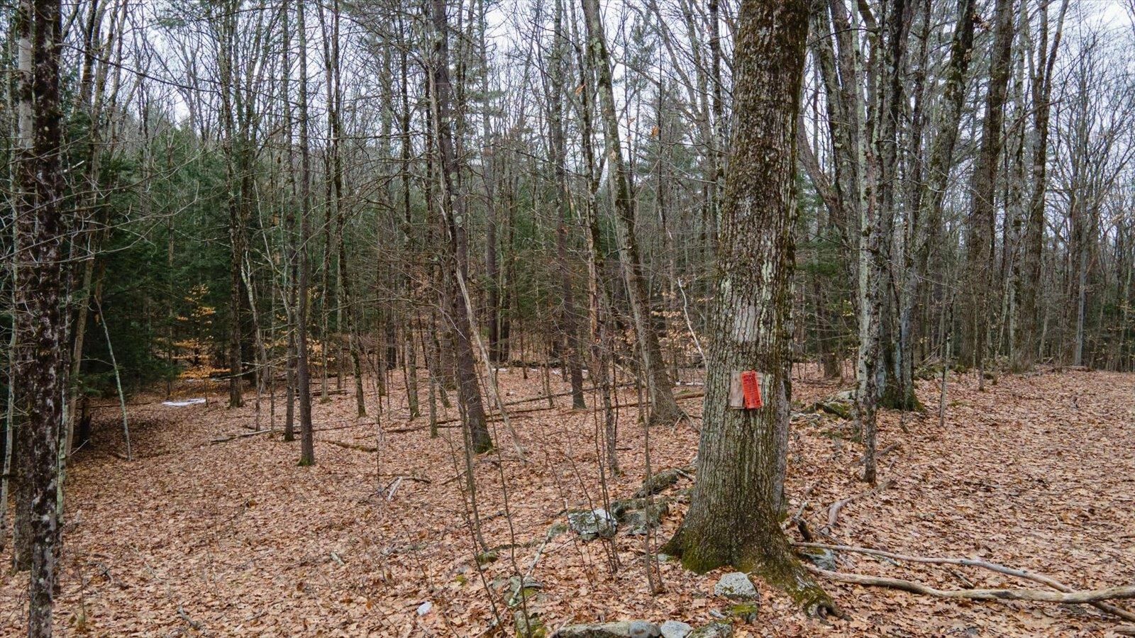 Property Photo: 00 Patton Road NH 03467