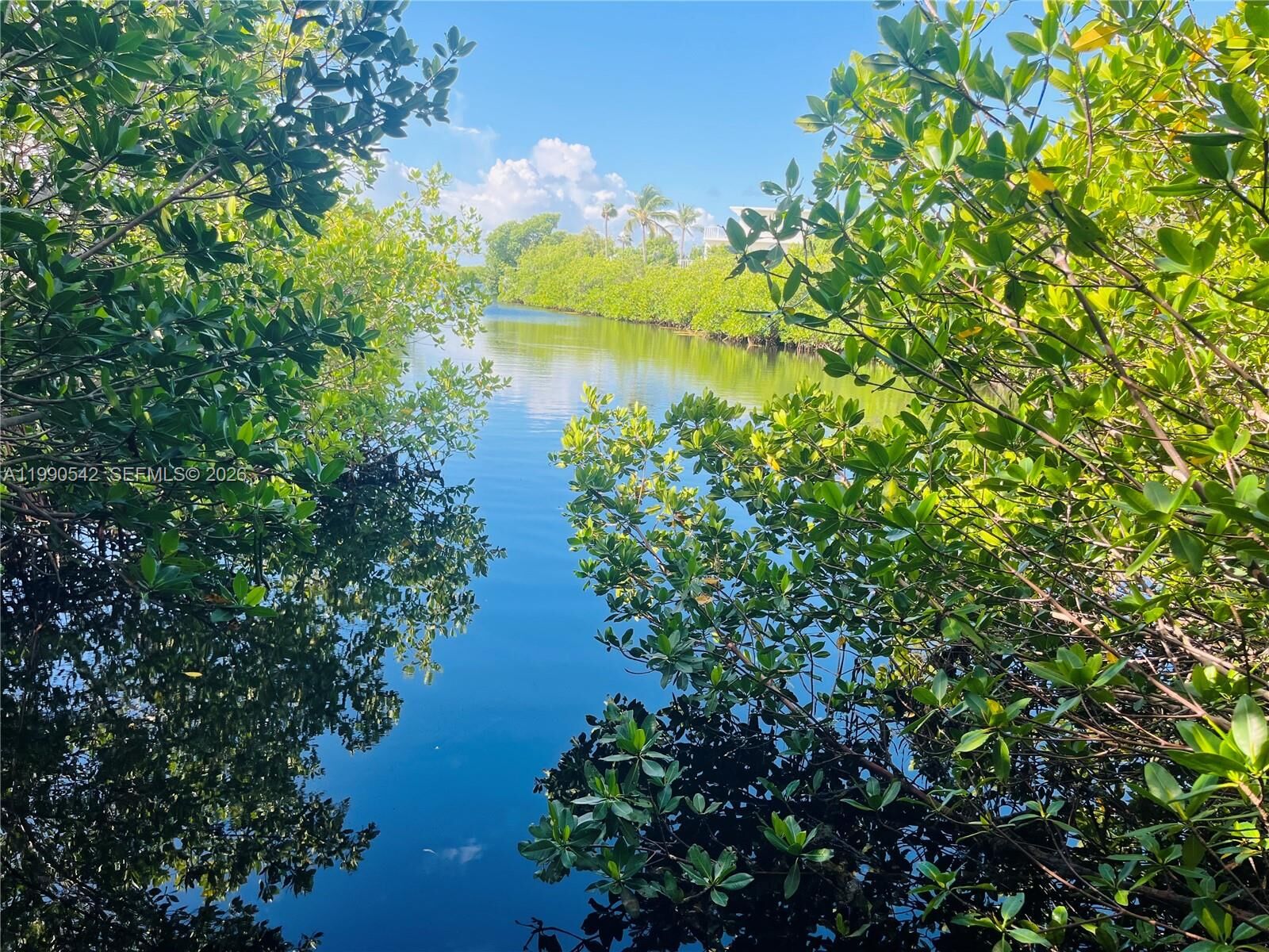 Property Photo: 202 W Canal Dr 202 FL 33037