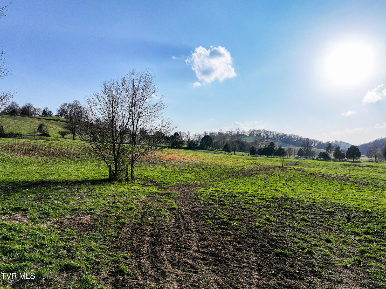 Property Photo:  465 Clear Creek Road  TN 37641 