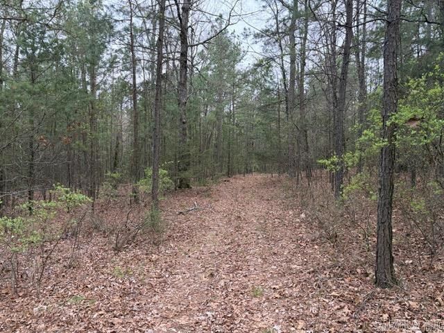 Property Photo: 40 Acres Fs Rd 1436 AR 72830