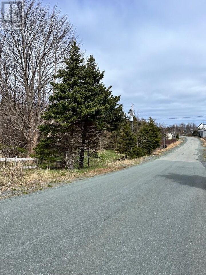 Property Photo:  #81-89 Town Circle Road  NL A0A 3L0 