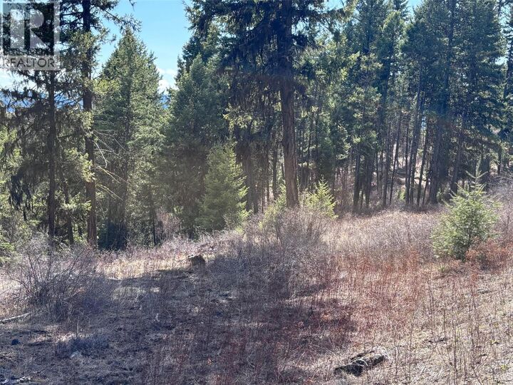 Property Photo:  Lot 4 Hulme Creek Road  BC V0H 1Y0 
