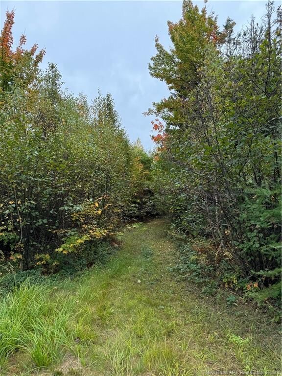Property Photo:  Lot 12-5 Wegesegum Road  NB E4A 2R7 