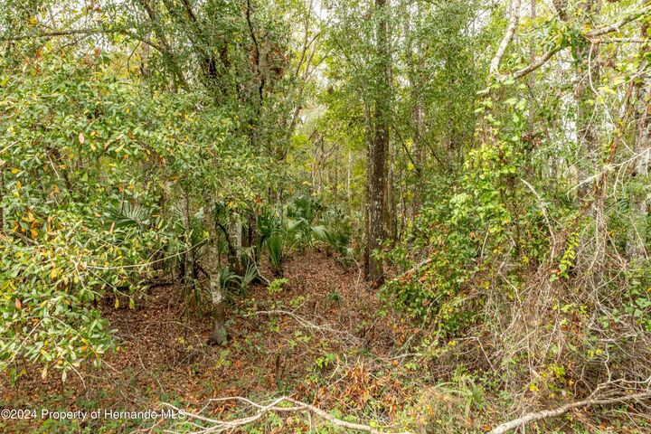 Property Photo:  0 Lake Lindsay Tract 2 Road  FL 34601 