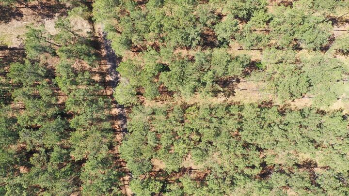 Property Photo:  000 County Road 1926  TX 75563 