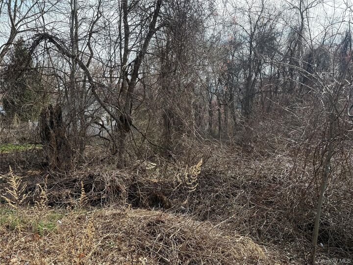 Property Photo:  99 N Brewster Road  NY 10509 