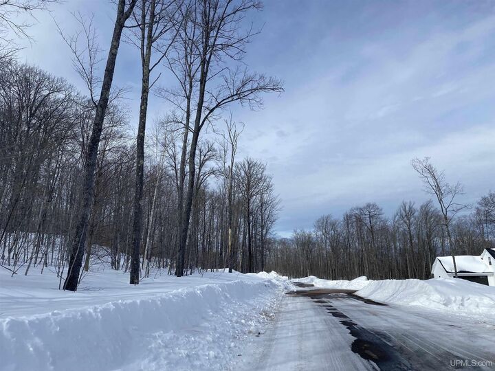 Property Photo:  Tbd Lot 24 S Whealkate Drive  MI 49963 