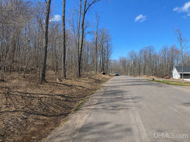 Property Photo:  Tbd Lot 24 S Whealkate Drive  MI 49963 