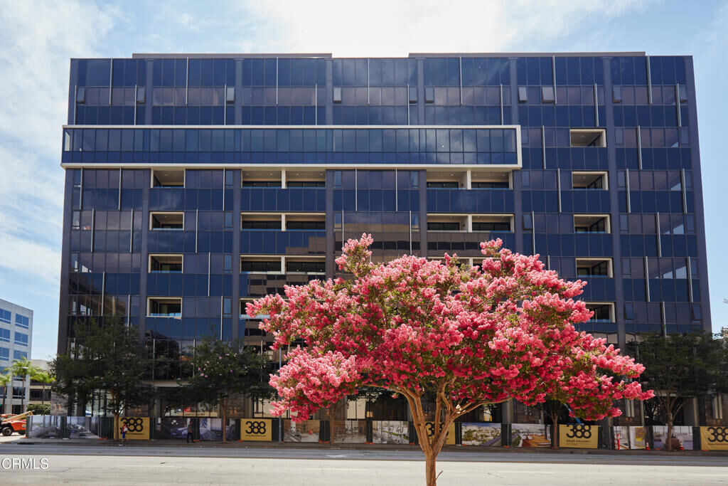 Property Photo:  388 Cordova Street 305  CA 91101 