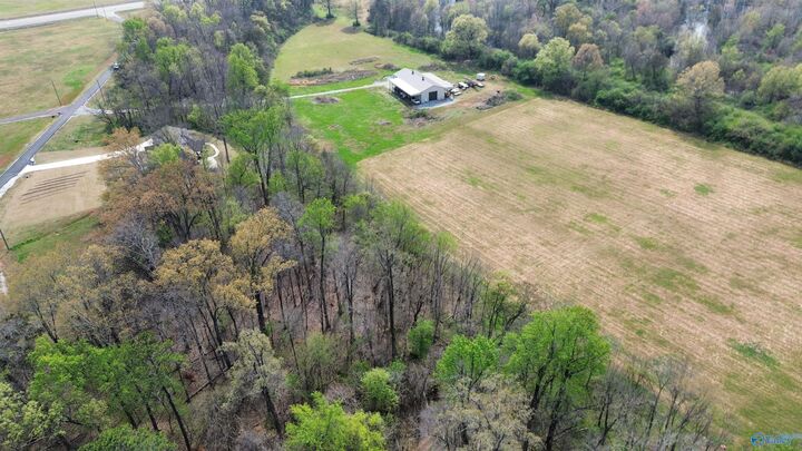 Property Photo: 12243 Pecan Grove Way AL 35613