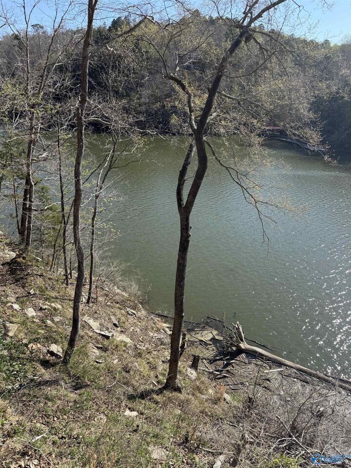 Property Photo: Lot 11 County Road 3782 AL 35541