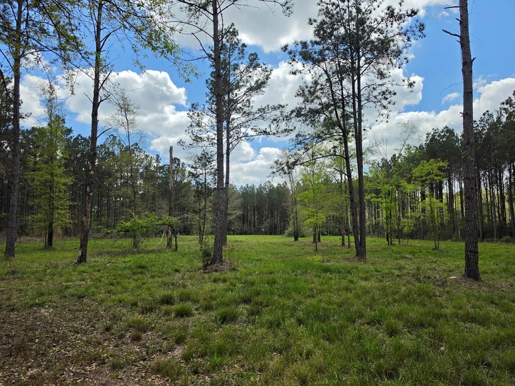 Property Photo:  R241398 Kelley  TX 77531 