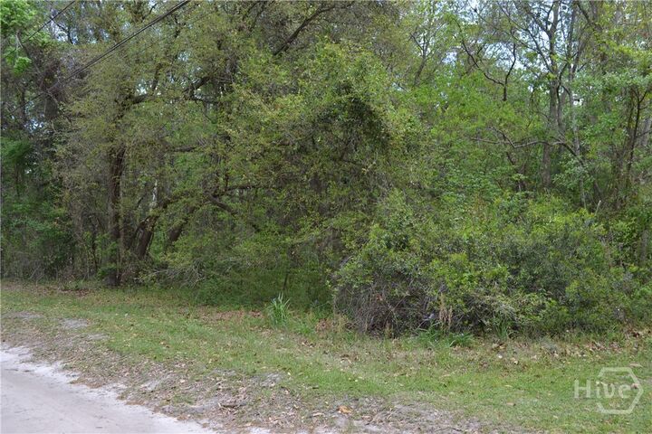 Property Photo:  0 S Hickory Street  GA 31302 