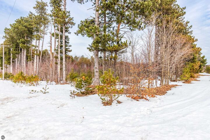 Property Photo:  3219 Nugent Road  MI 49635 