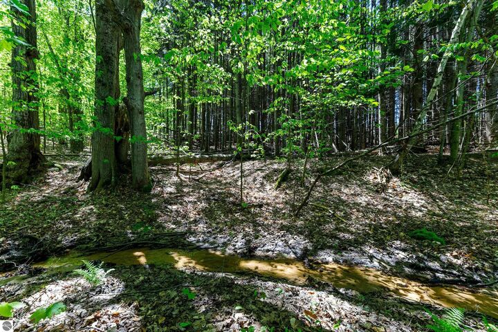 Property Photo:  3219 Nugent Road  MI 49635 