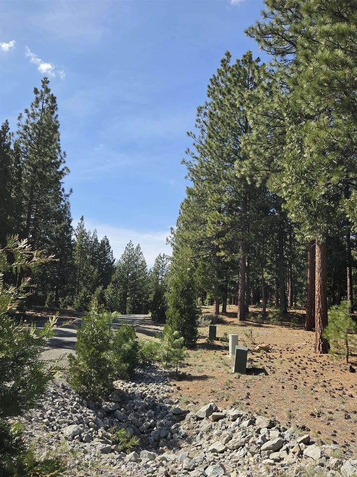 Property Photo:  762 Blacktail Ridge  CA 96122 
