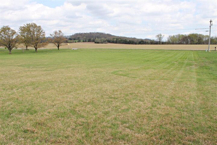 Property Photo:  Lot 13 Brownsville Road  KY 42210 