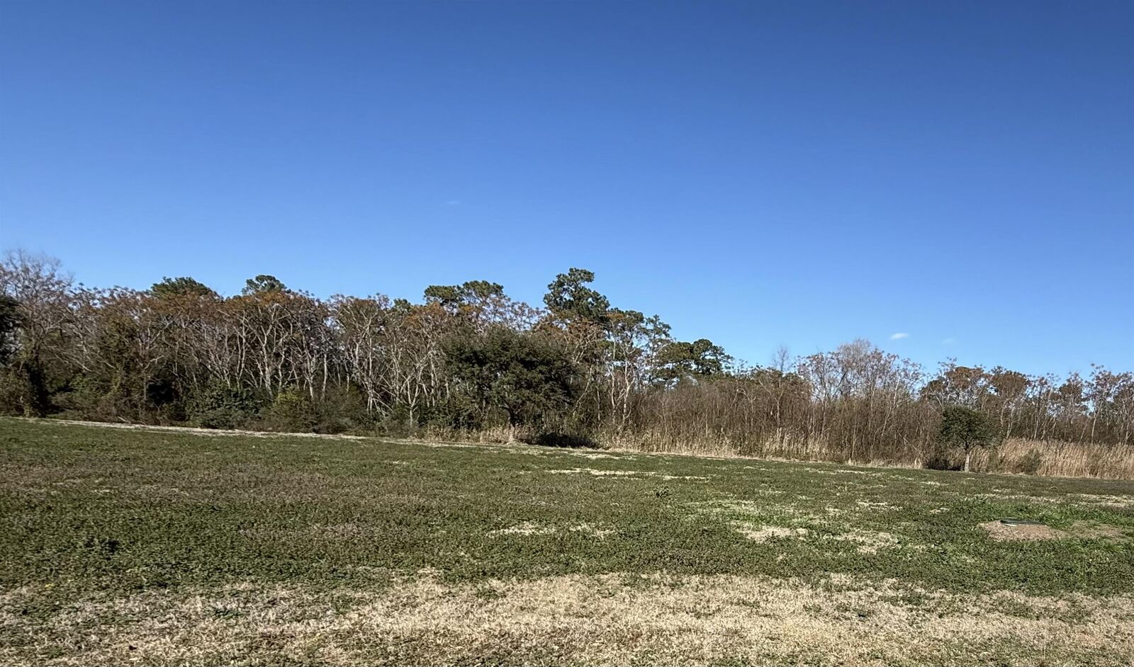 Property Photo:  151 Cravens Grant  SC 29440 