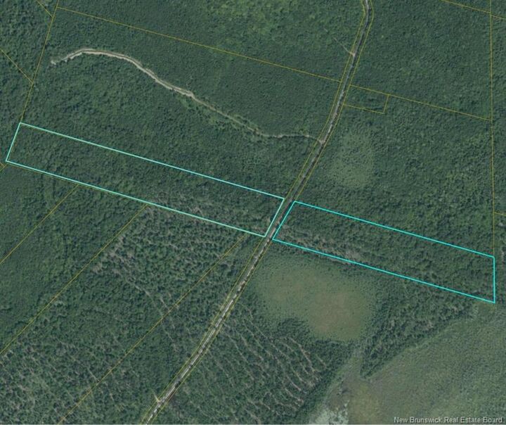 00 Woodlot 99 Chemin Richard - Saint-Norbert — photo 1