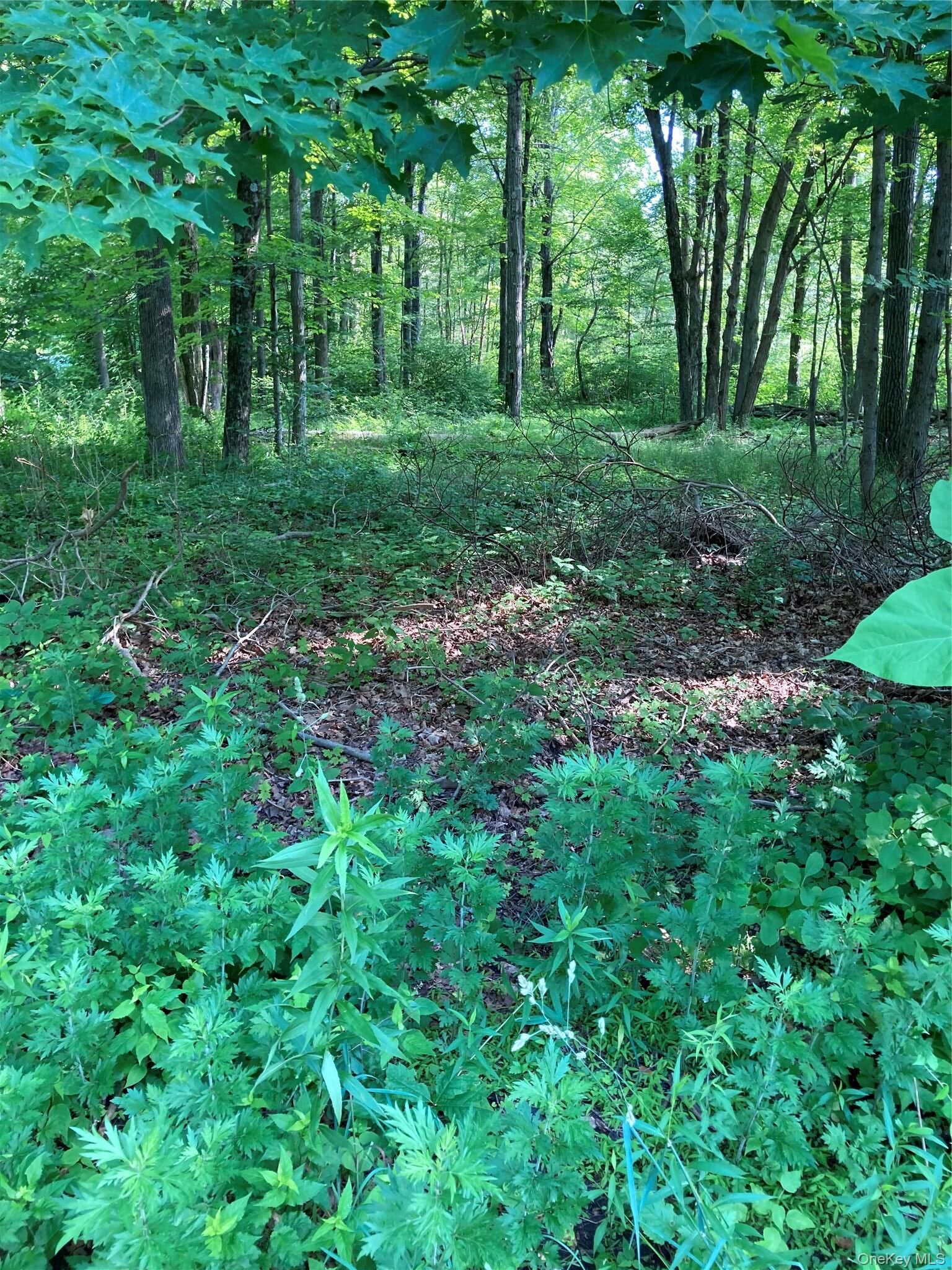 Property Photo: 15 Adam Wagner Lane NY 10541