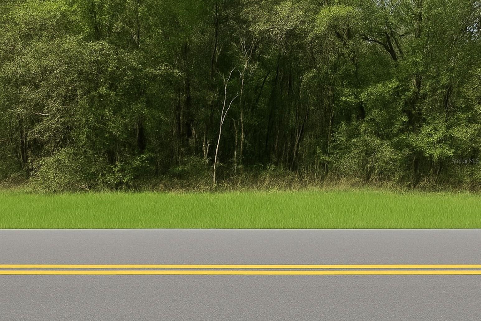 Property Photo:  0 Rainbow Lakes Boulevard  FL 34431 