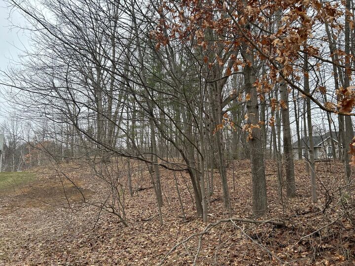 Property Photo:  10910 Boxwood Drive  MI 49346 