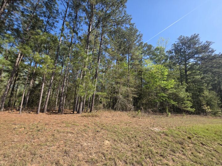 Property Photo:  Tract A Georgia 102  GA 30810 