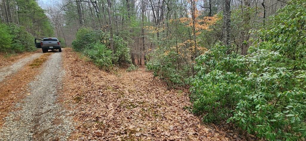 Property Photo:  Lot 18 Gray Fox Trail  GA 30512 